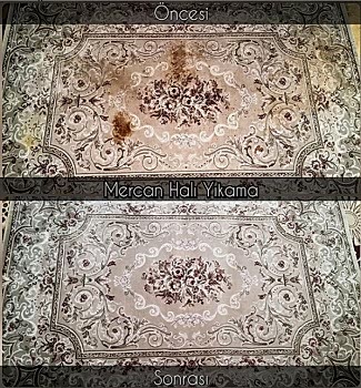 mercan koltuk yıkama